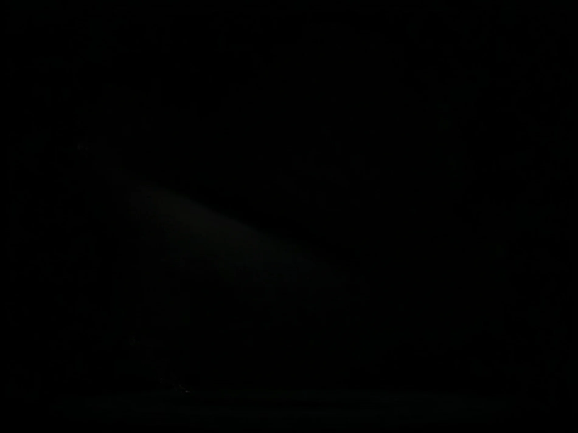 True North Background